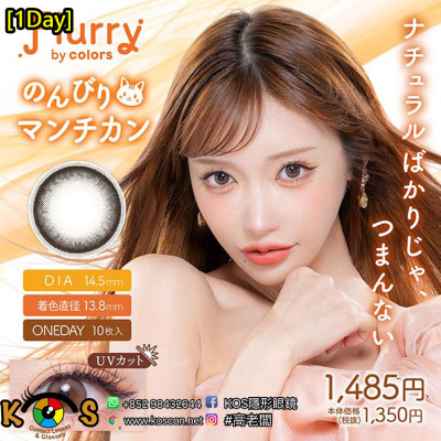 [1Day]Flurry Nonbiri Munchkin フルーリー のんびりマンチカン